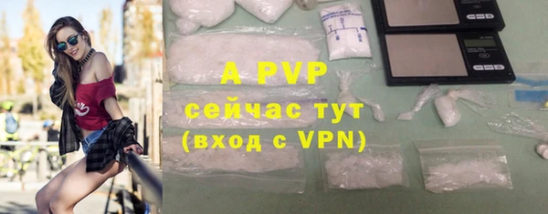 ГАЛЛЮЦИНОГЕННЫЕ ГРИБЫ Козельск