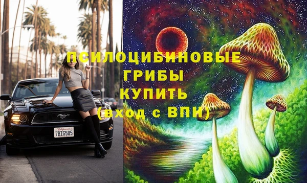 гидропоника Коряжма