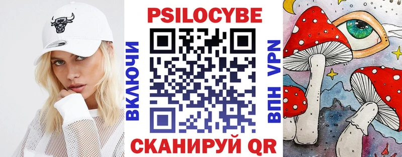Псилоцибиновые грибы Psilocybe  Купить где  Пугачёв 